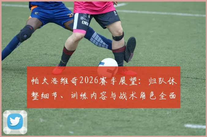帕夫洛维奇2026赛季展望：归队休整细节、训练内容与战术角色全面解析